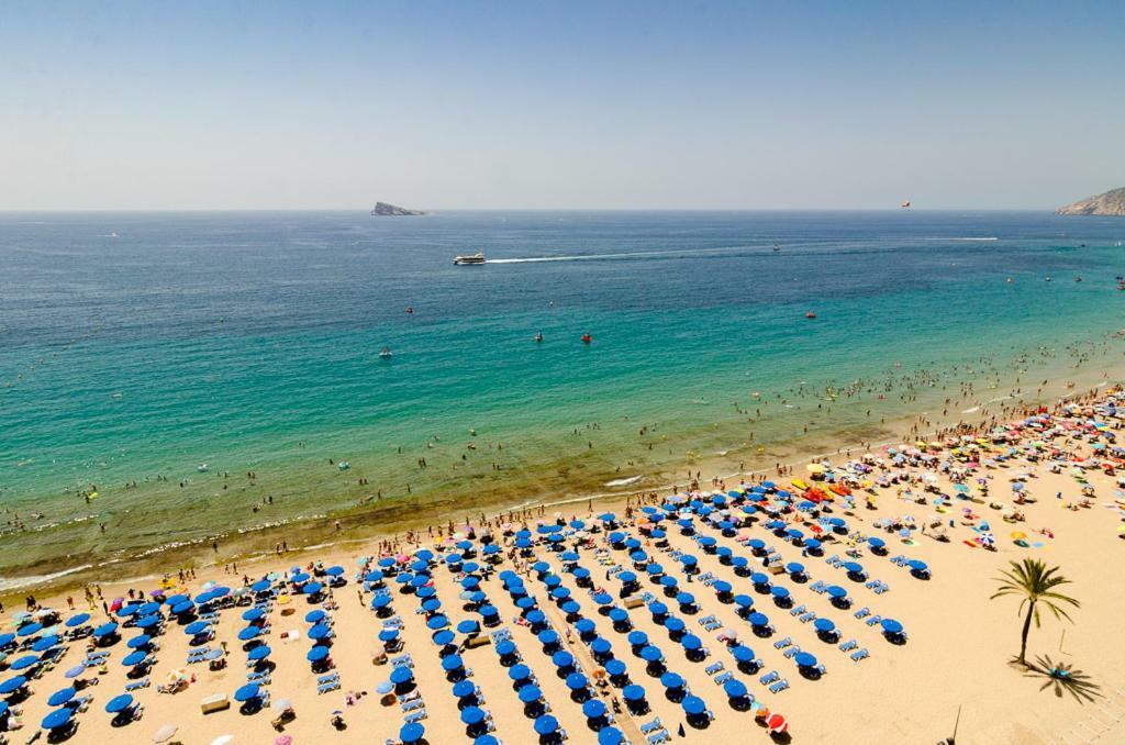 Appartement Las Palmeras 15D à Benidorm Extérieur photo